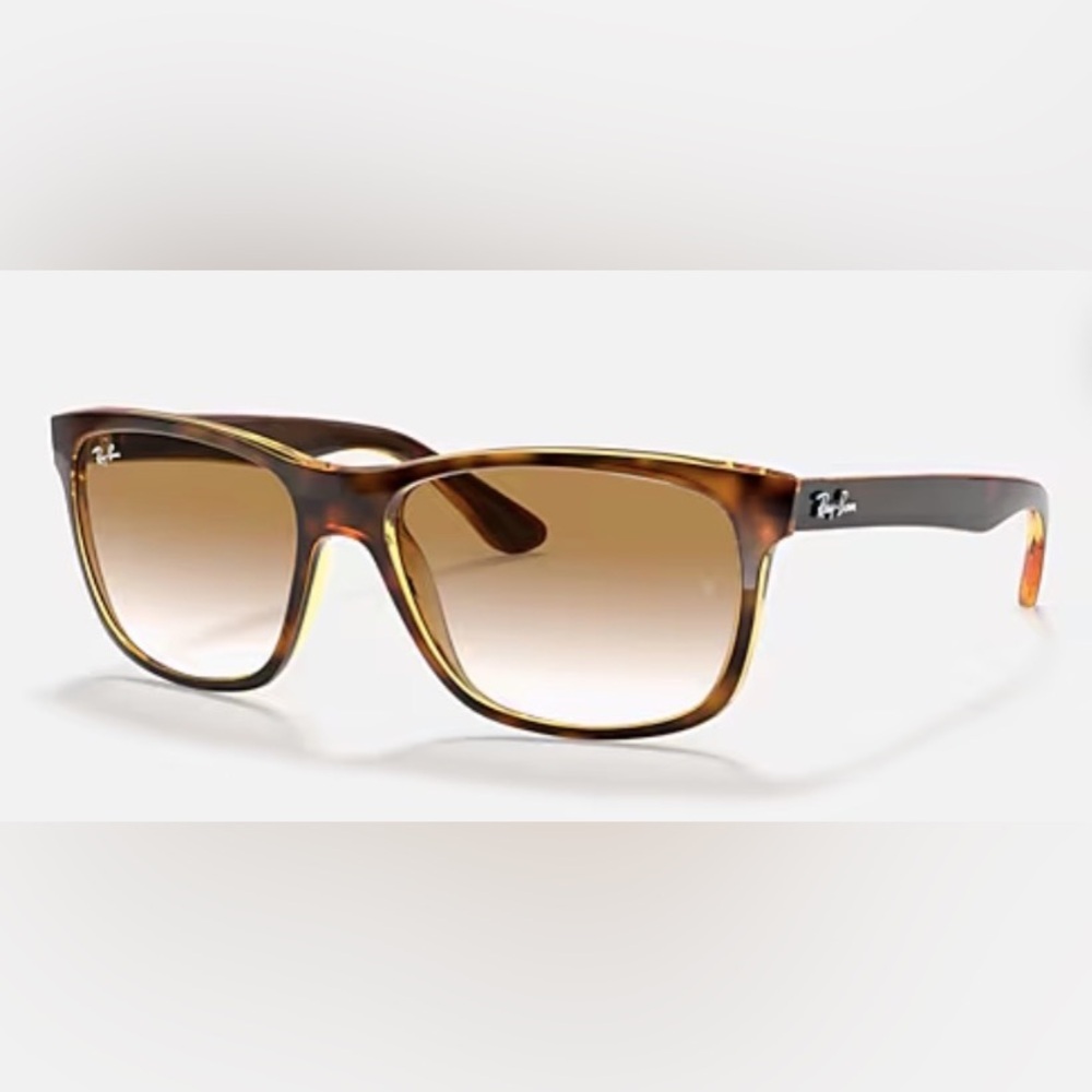 Ray-Ban Sunglasses RB4181 havana brown